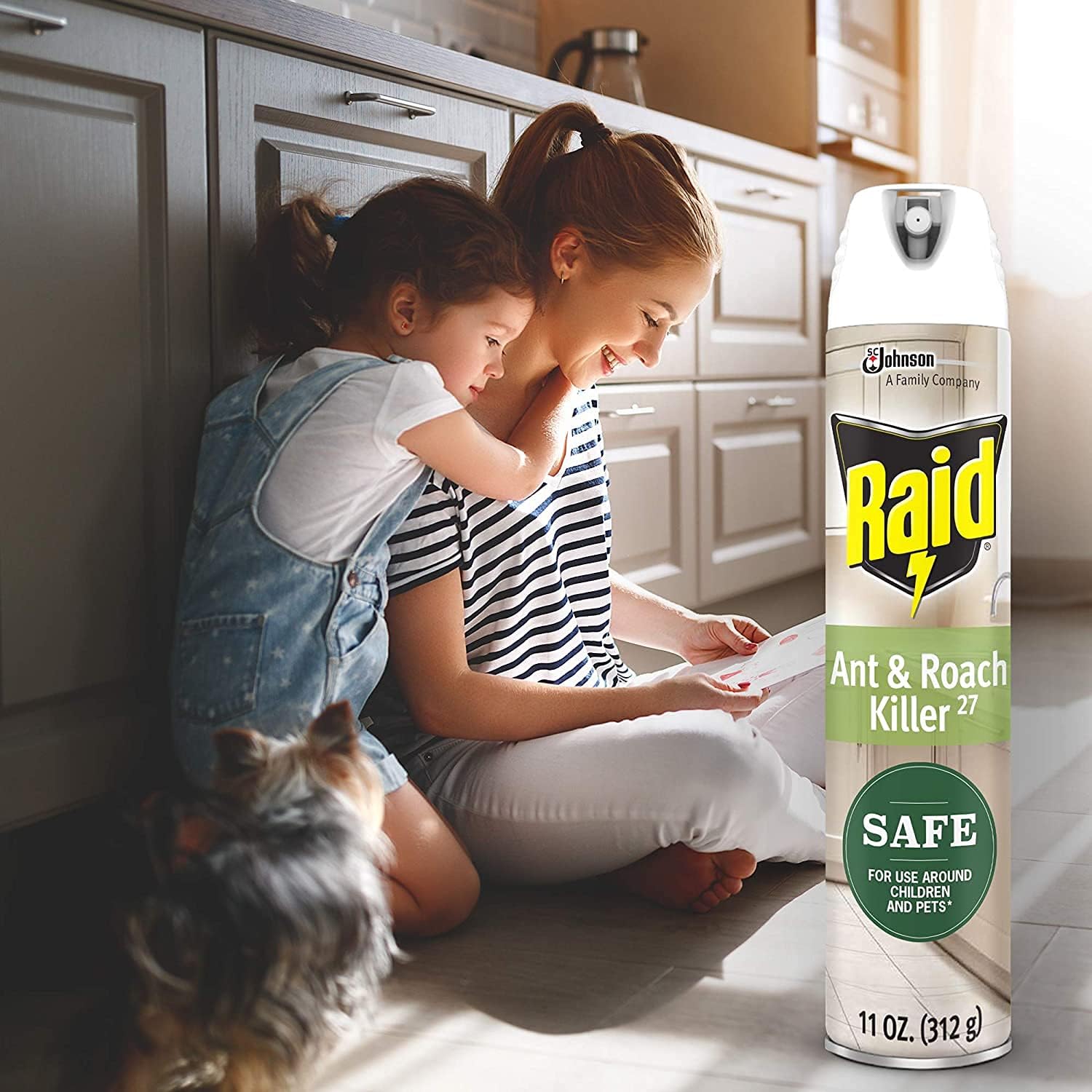 Raid Ant and Roach Killer, aerosol en aerosol con aceites esenciales, 11 onzas (paquete de 6)