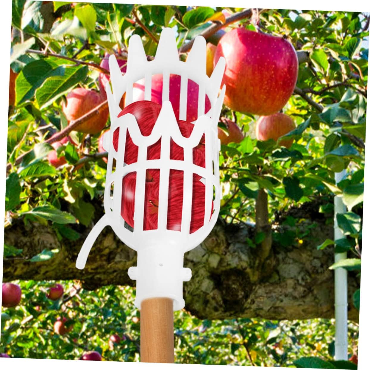 Cesta recogedora de frutas, 2 unidades, cesta de herramientas para recolección de frutas, cosechadoras de frutas, recogedor de frutas, contenedor de