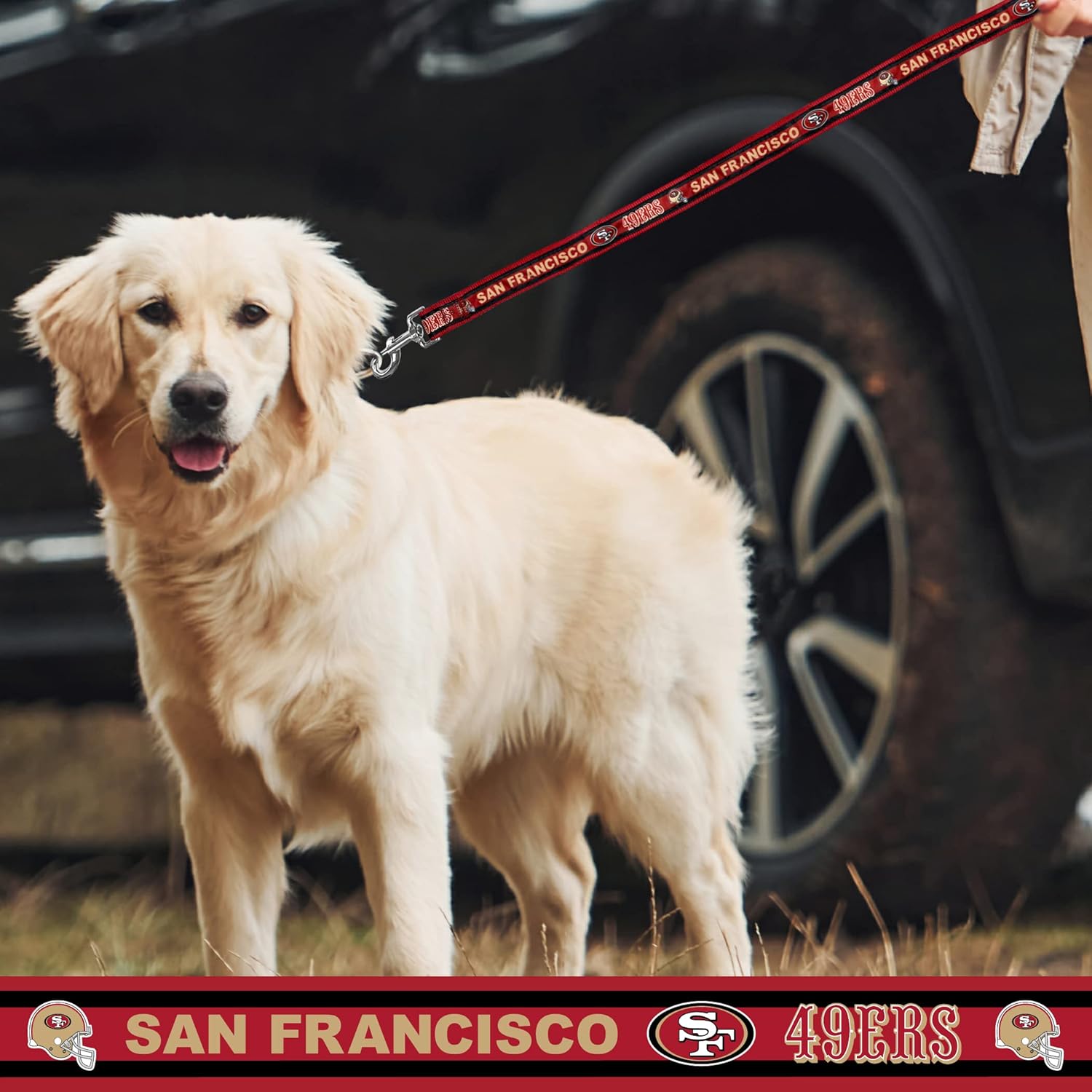 NFL Pet Strap San Francisco 49ers – Correa para perro, correa mediana del equipo de fútbol para perros y gatos. Una correa brillante y colorida para