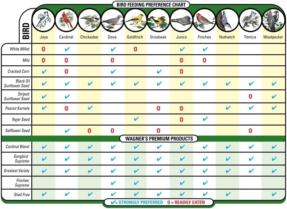 Wagner’s Southern Regional – Paquete de alimentos para pájaros (20 libras) + alimento gourmet para pájaros silvestres con frutos secos y frutas (5