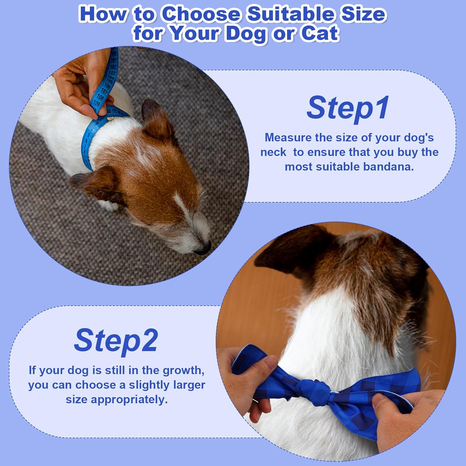 Bandana de cumpleaños para perro con sombrero, lindo sombrero de fiesta de cumpleaños de perro suministros para fiesta de cumpleaños (azul, S)