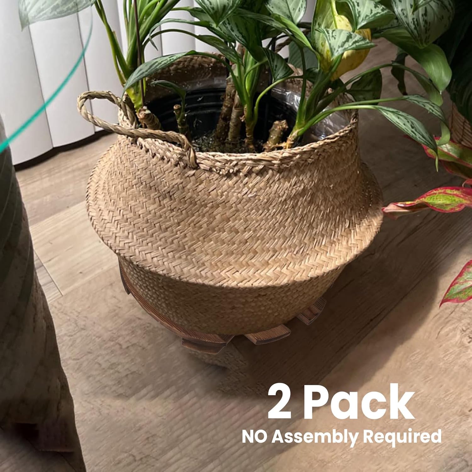 Paquete de 2 soportes para plantas con ruedas, organizadores para plantas con ruedas deslizantes suaves bloqueables de 360, duradero, resistente,