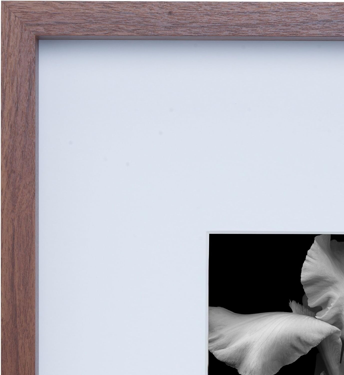 Mikasa Wood Gallery – Marco de pared de 15 x 15 pulgadas, mate a 5 x 7, 16 x 1.57 x 16 pulgadas, nogal
