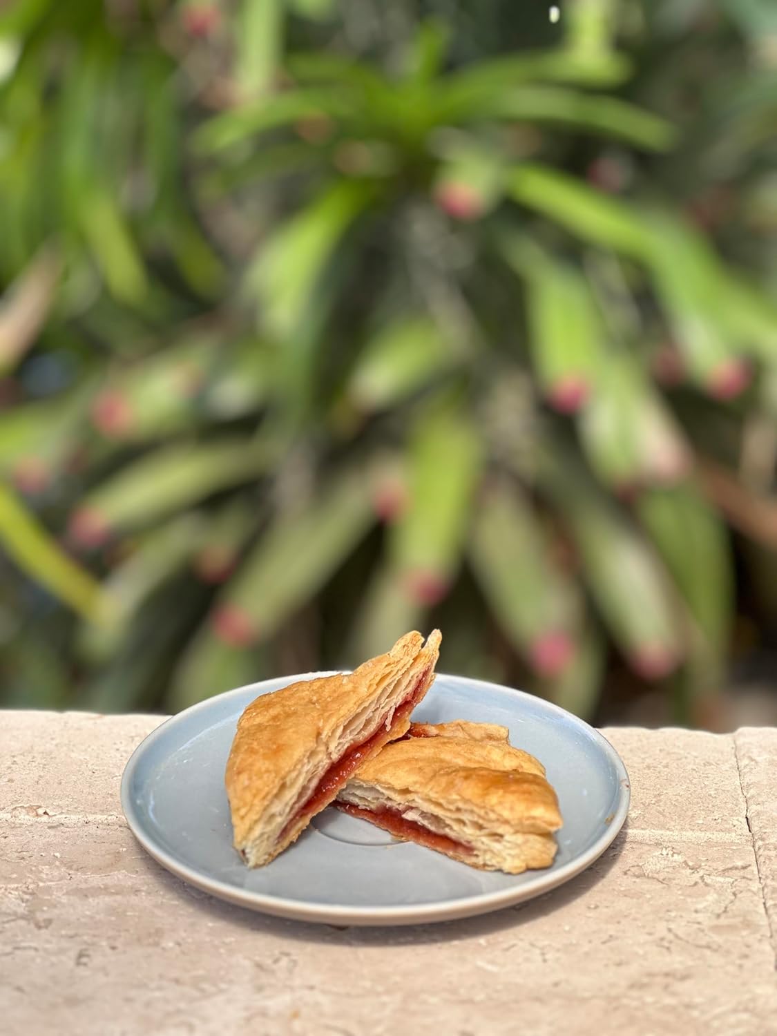 Jeynuuss – Relleno de pastel de guayaba y pastelería, relleno de pastel, pasta de guayaba, gelatina de guayaba, pasta de guayaba para hornear,