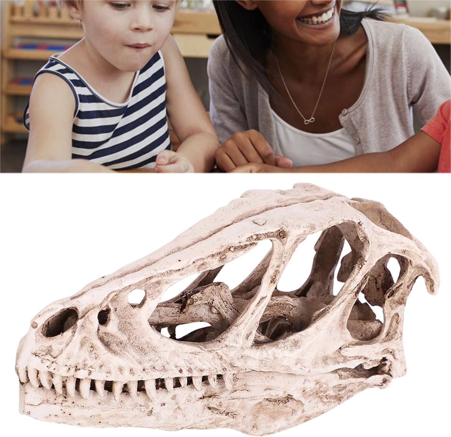 TOPINCN Modelo de calavera de dinosaurio, esqueleto de animal simulado, realista y vívido, perfecto para decoración de oficina en casa, accesorio de
