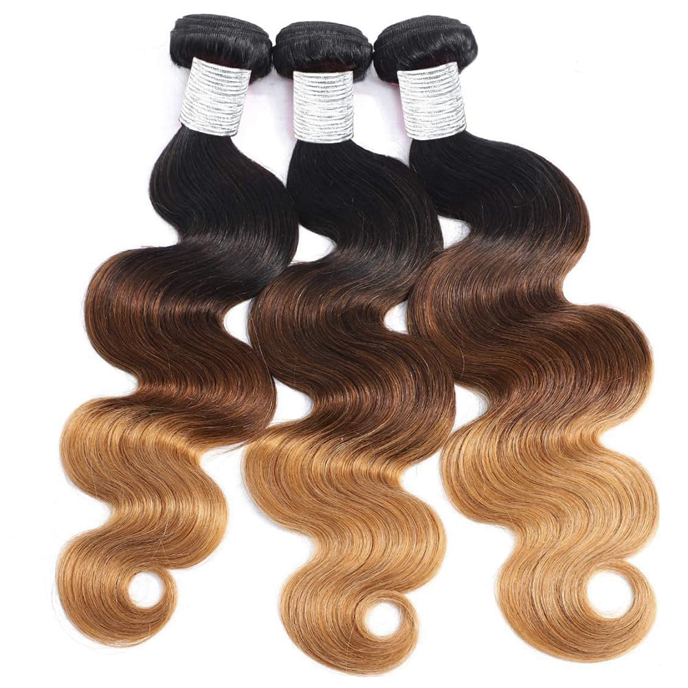 Wingirl Extensiones de cabello humano degradado de grado 10A rubio miel (T1B427 18 20 22 pulgadas) 100% sin procesar, mechones de cabello humano