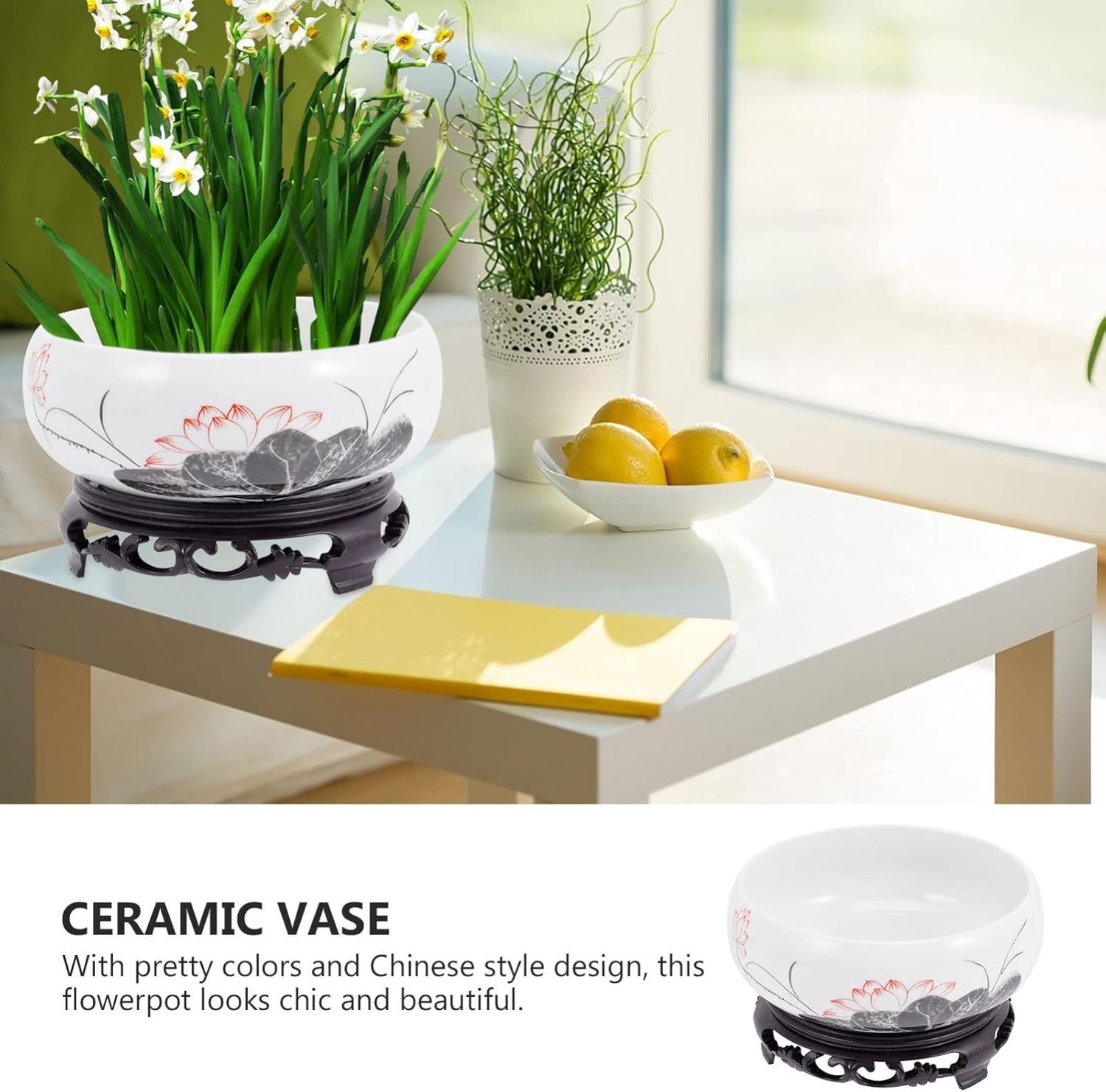 Veemoon Cerámica Water Lily Bowl Narciso Nautance Moneda de cobre Hierba Maceta con soporte Lotus Contenedor hidropónico Narciso Bonsái Maceta para
