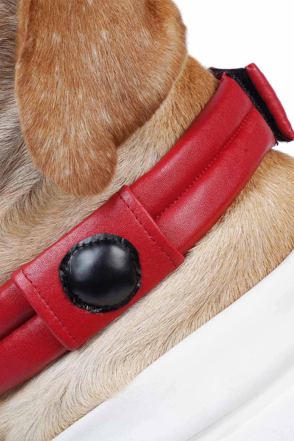 The Space Dog Cosplay Pet Dog Puppy Cat Collar Trajes para Halloween