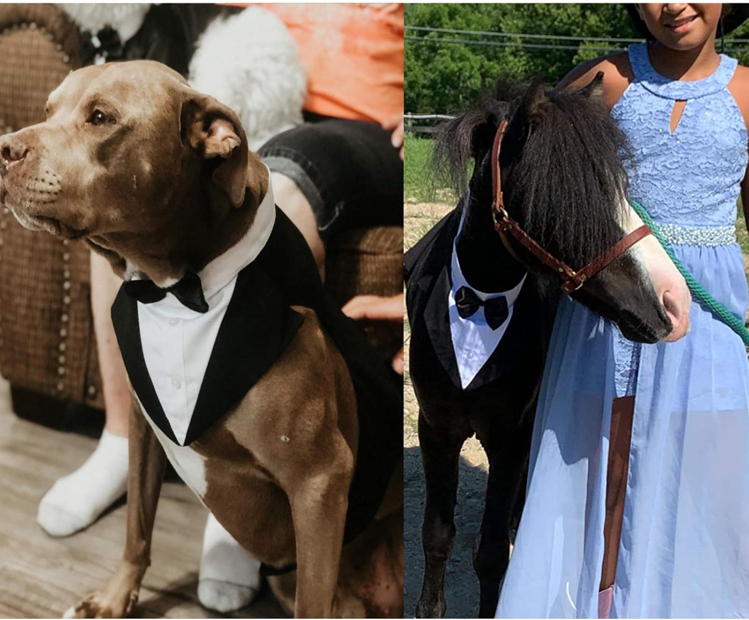 IDOMIK Traje de esmoquin para perros pequeños, medianos y grandes, traje formal de esmoquin para perro con collar de corbatín desmontable y bufanda