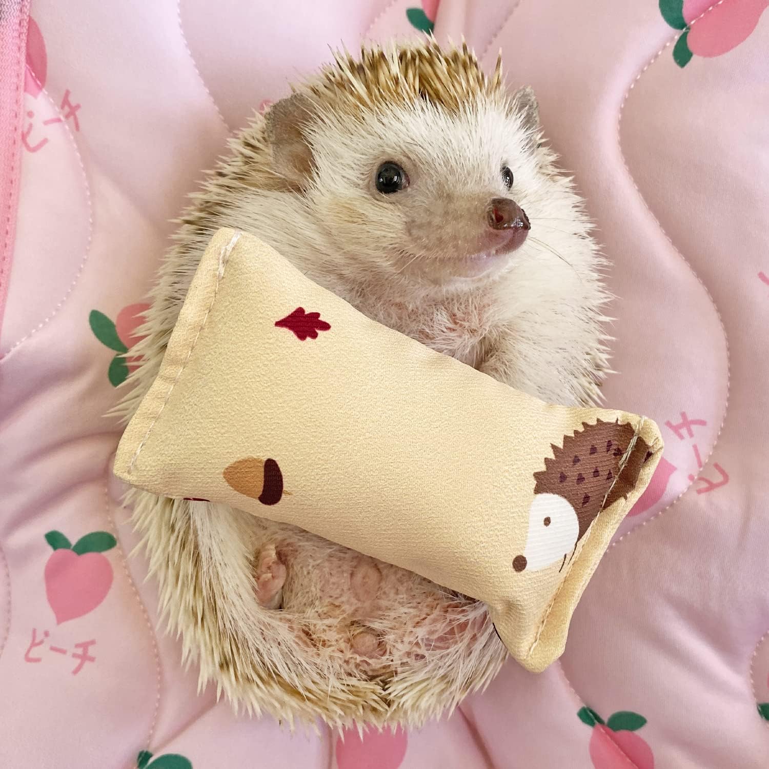 Ymid Select 4 mini almohadas de erizo para animales pequeños, decoración de hábitat, accesorios de jaula, suministros de erizo, accesorios para
