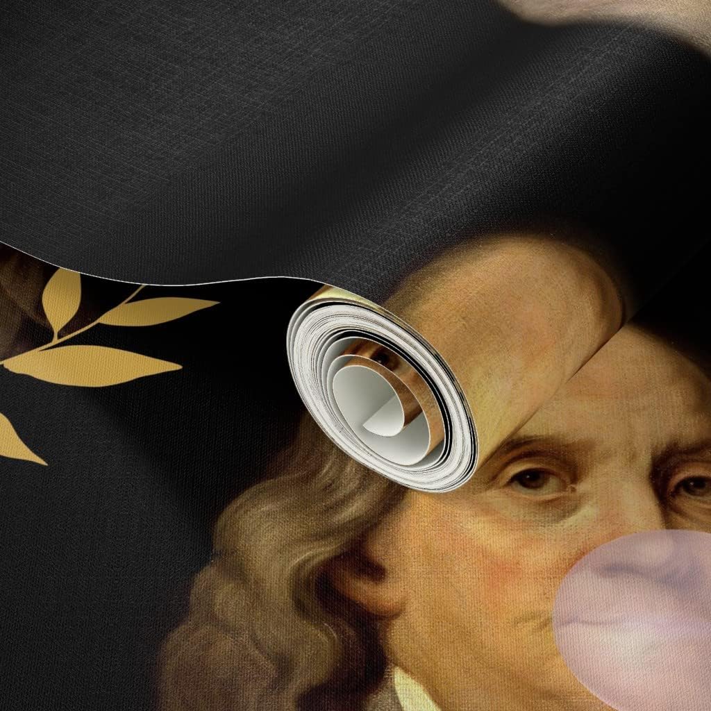 Spoonflower Papel tapiz autoadhesivo de 6 x 2 pies  Benjamin Franklin President Historical Whimsical Bubblegum papel tapiz extraíble personalizado