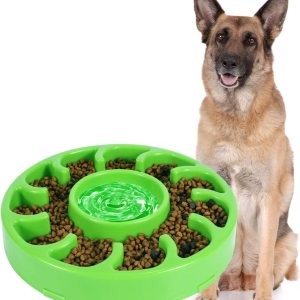 JASGOOD TazĂ³n lento para perros grandes, comedero lento antigolpe, para detener la hinchazĂ³n, cuenco grande para mascotas de comer lento (D-verde) JASGOOD TazĂ³n lento para perros grandes, comedero lento antigolpe, para detener la hinchazĂ³n, cuenco grande para mascotas de comer lento (D-verde)