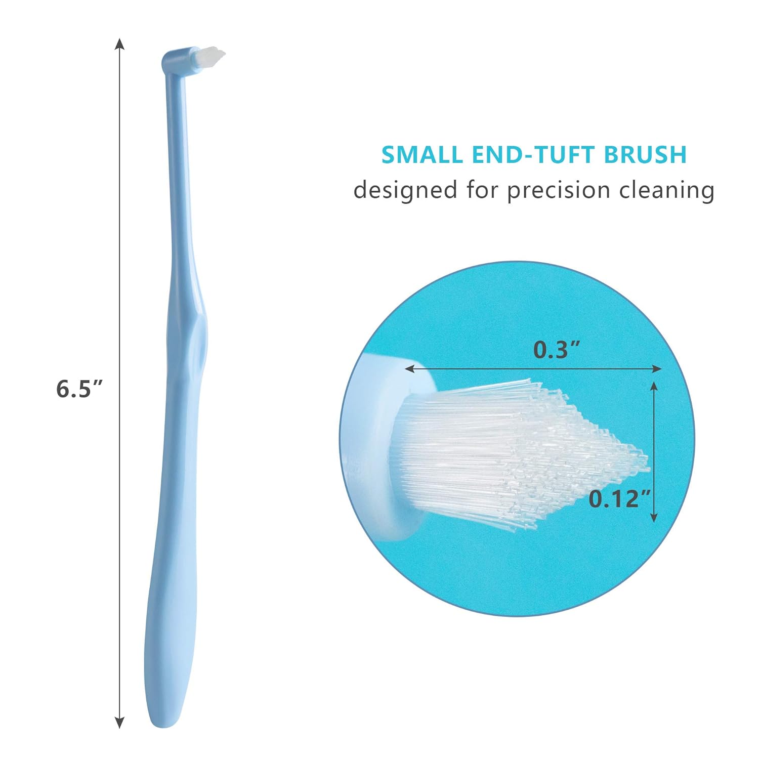 End-Tuft – Cepillo de dientes cónico, 6 piezas de cepillo de dientes copetudo, cepillo interespacial, cepillo de dientes Wisdom Gap para ortodoncia,