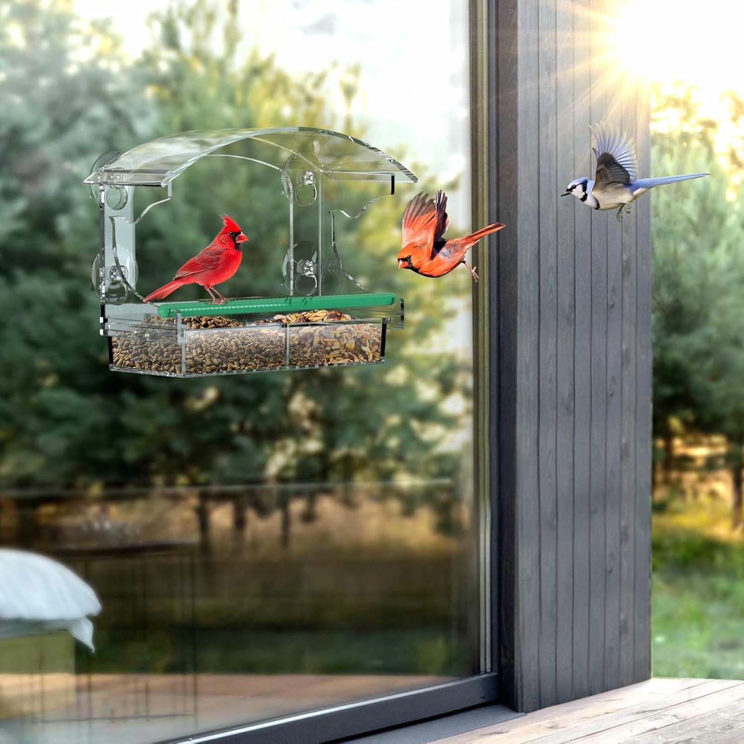 Comedero para pájaros de ventana transparente con 4 ventosas fuertes y bandeja de semillas desmontable, comederos acrílicos para pájaros montados en