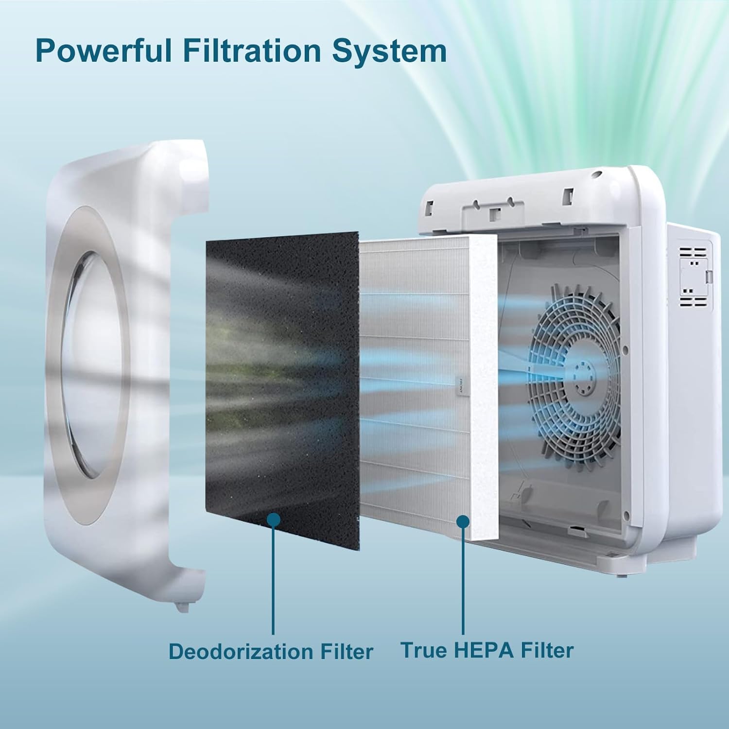 AP-1512HH – Filtro de repuesto compatible con Coway AP-1512HH, AP-1512HH-FP, AP-1518R, AP-1519P, filtro NXBHG 4 True HEPA + 4 prefiltros de carbono,