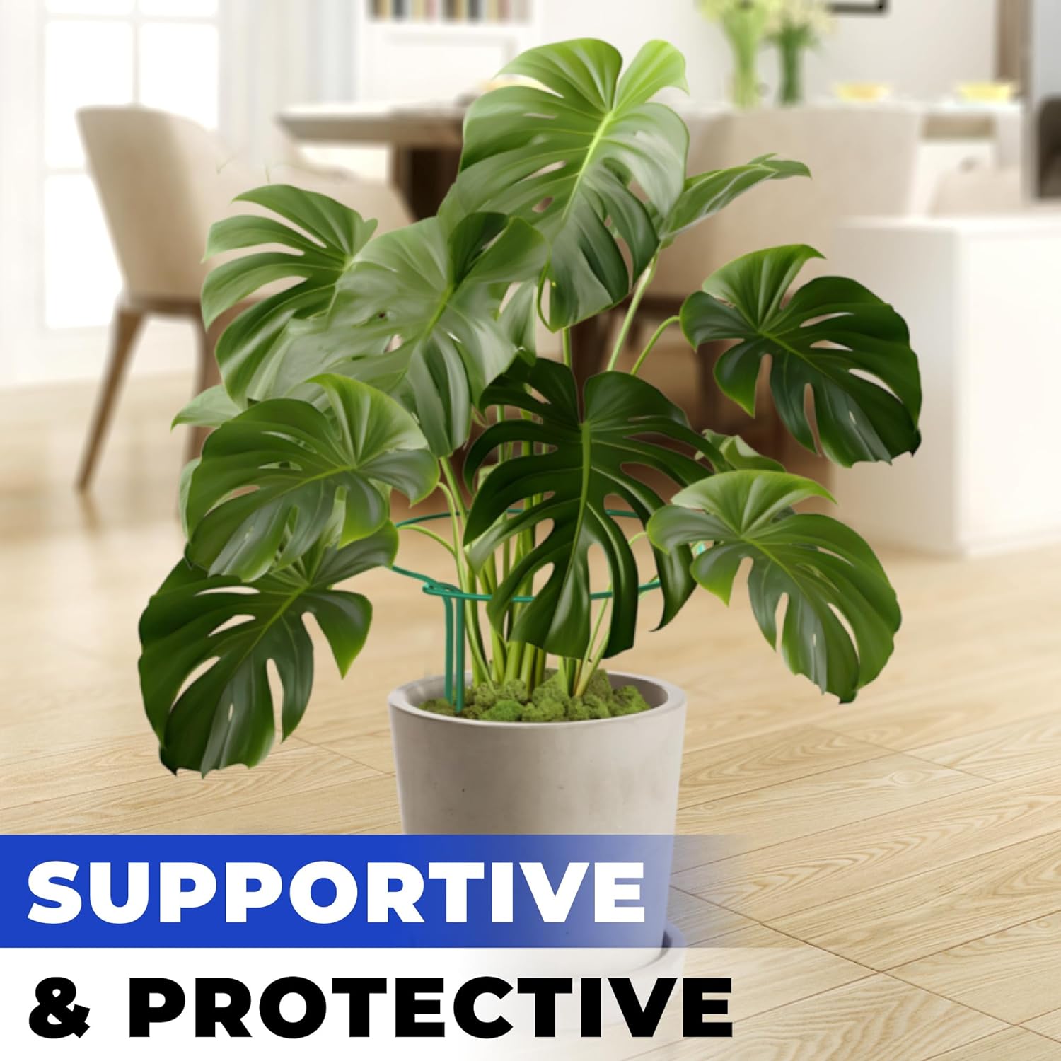 K-Brands Estacas de soporte para plantas  Estacas de metal inoxidables para plantas de exterior (10 pulgadas de ancho x 16 pulgadas de alto) con