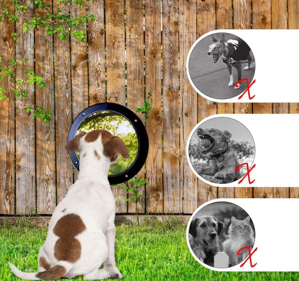 Cúpula de acrílico transparente, ventana para valla de perro con agujeros de aire, vista transparente de cúpula para mascotas, ventana de burbujas