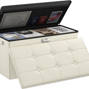 DocSafe Banco otomano de almacenamiento con cerradura, banco de almacenamiento plegable ignífugo, taburete de almacenamiento con almacenamiento DocSafe Banco otomano de almacenamiento con cerradura, banco de almacenamiento plegable ignífugo, taburete de almacenamiento con almacenamiento