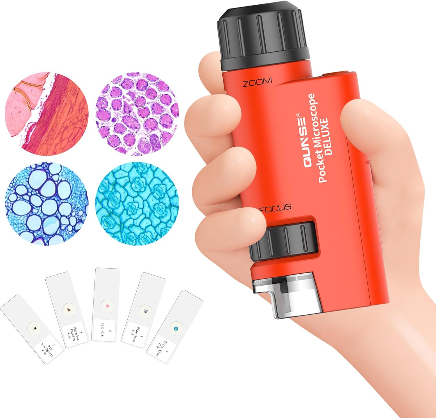 Mini microscopio pequeño de bolsillo, microscopio de mano 60x-120x zoom iluminado LED con 5pcs diapositivas de microscopio