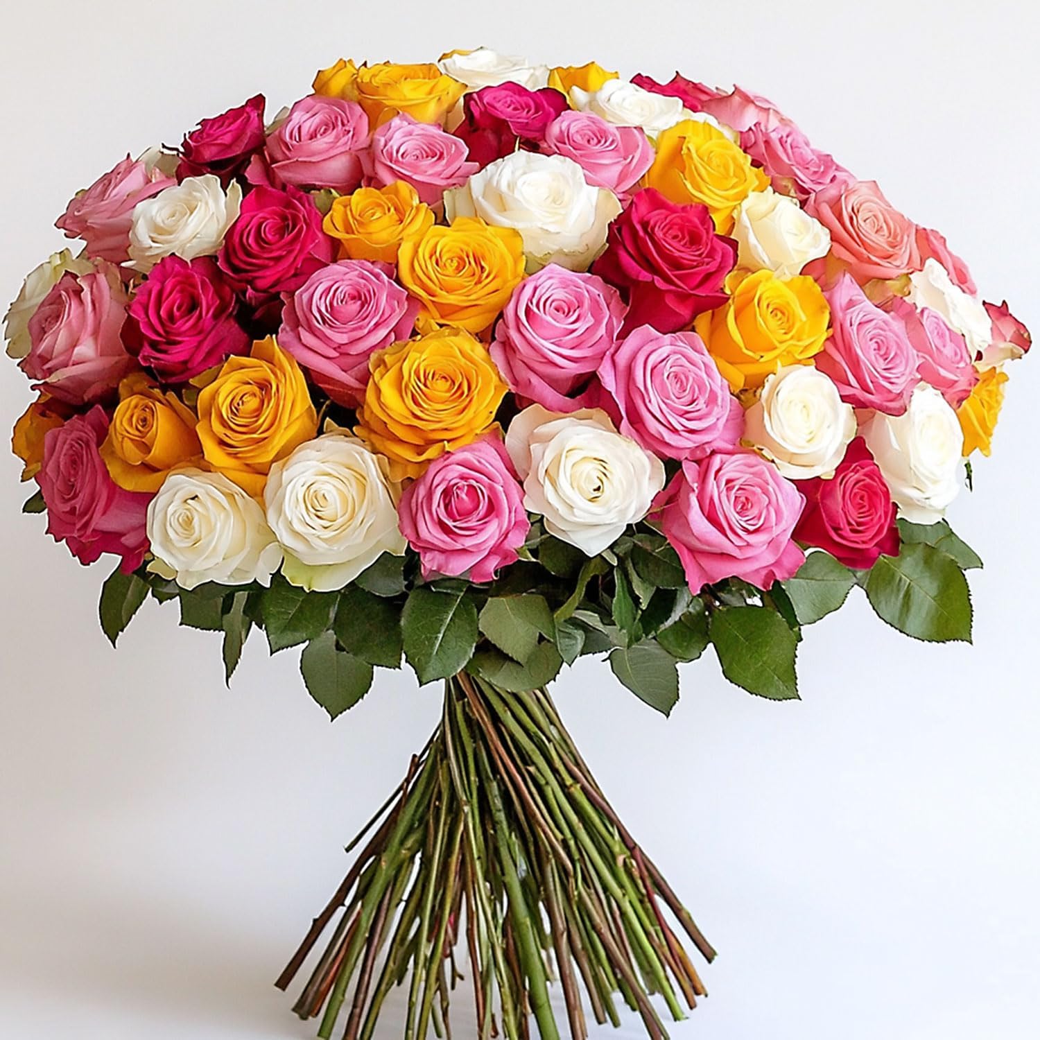 Rosas recién Cortadas, colores variados  flores frescas  perfectas para cumpleaños, aniversarios o cualquier ocasión.