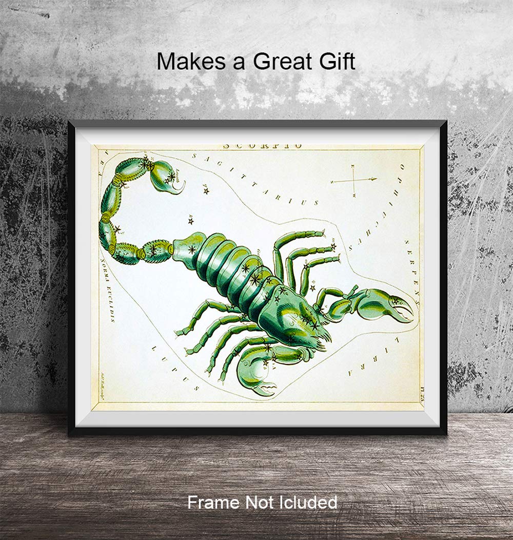Vintage Scorpio Astrological Zodiac Chart – Great Gift and Chic Home Decor – Stars – Ready to Frame (8×10) Photo