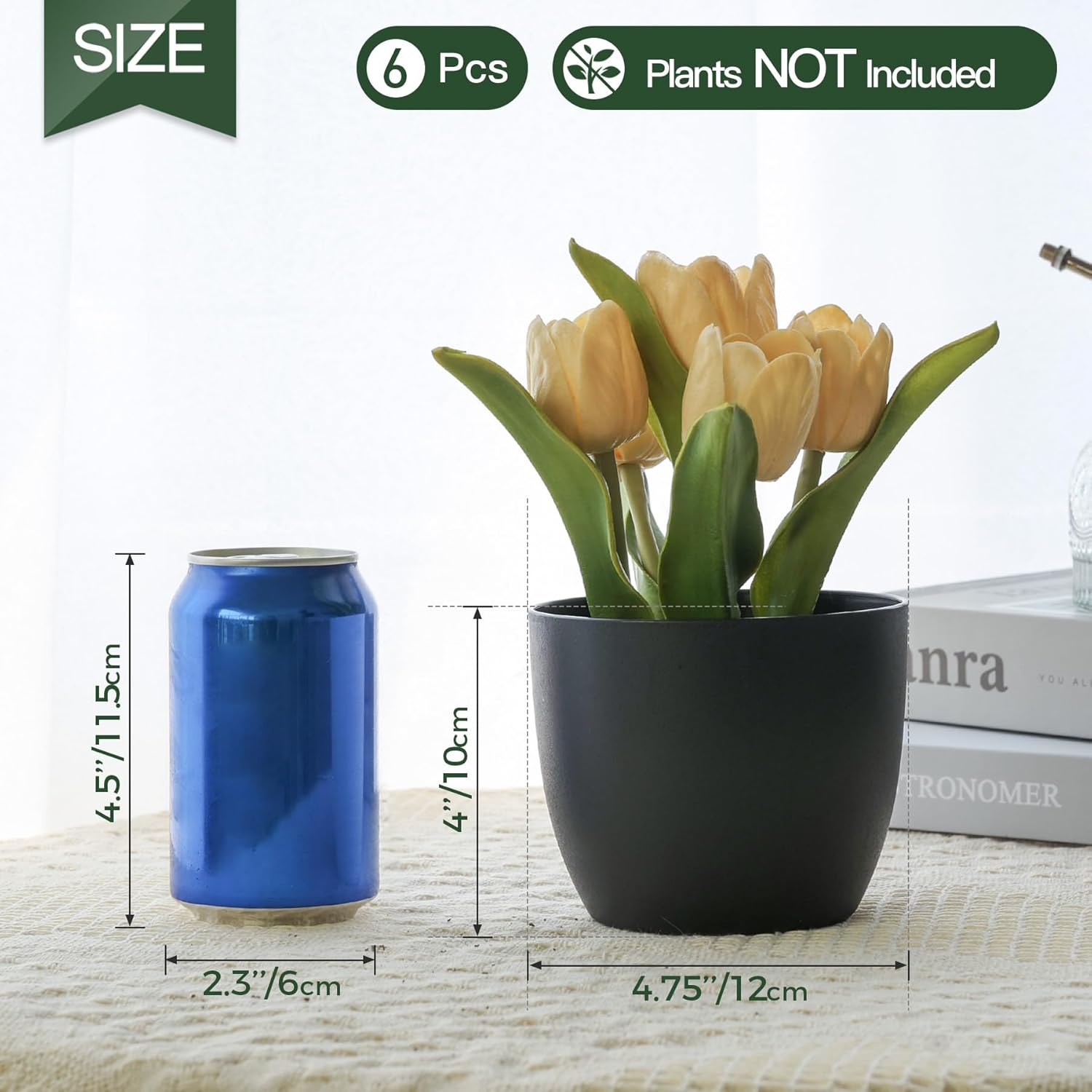 T4U – Macetero de plástico con autorregado, macetero moderno y decorativo para todas las plantas de la casa, flores, hierbas, violetas, suculentas