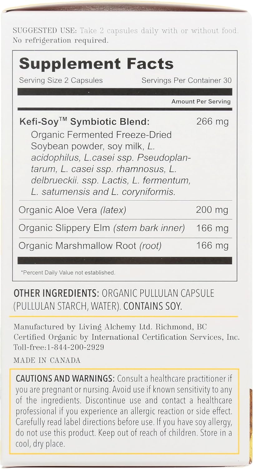 Living Alchemy Your Flora Probiotic Terrain 60 cápsulas veganas  35 cepas fermentadas para intestino permeable y revestimiento digestivo  Simbiótico