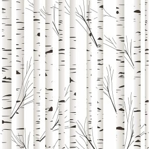 Blooming Wall Papel tapiz minimalista neutro de abedul autoadhesivo para decoración de pared (17.7 x 118 pulgadas) Blooming Wall Papel tapiz minimalista neutro de abedul autoadhesivo para decoración de pared (17.7 x 118 pulgadas)