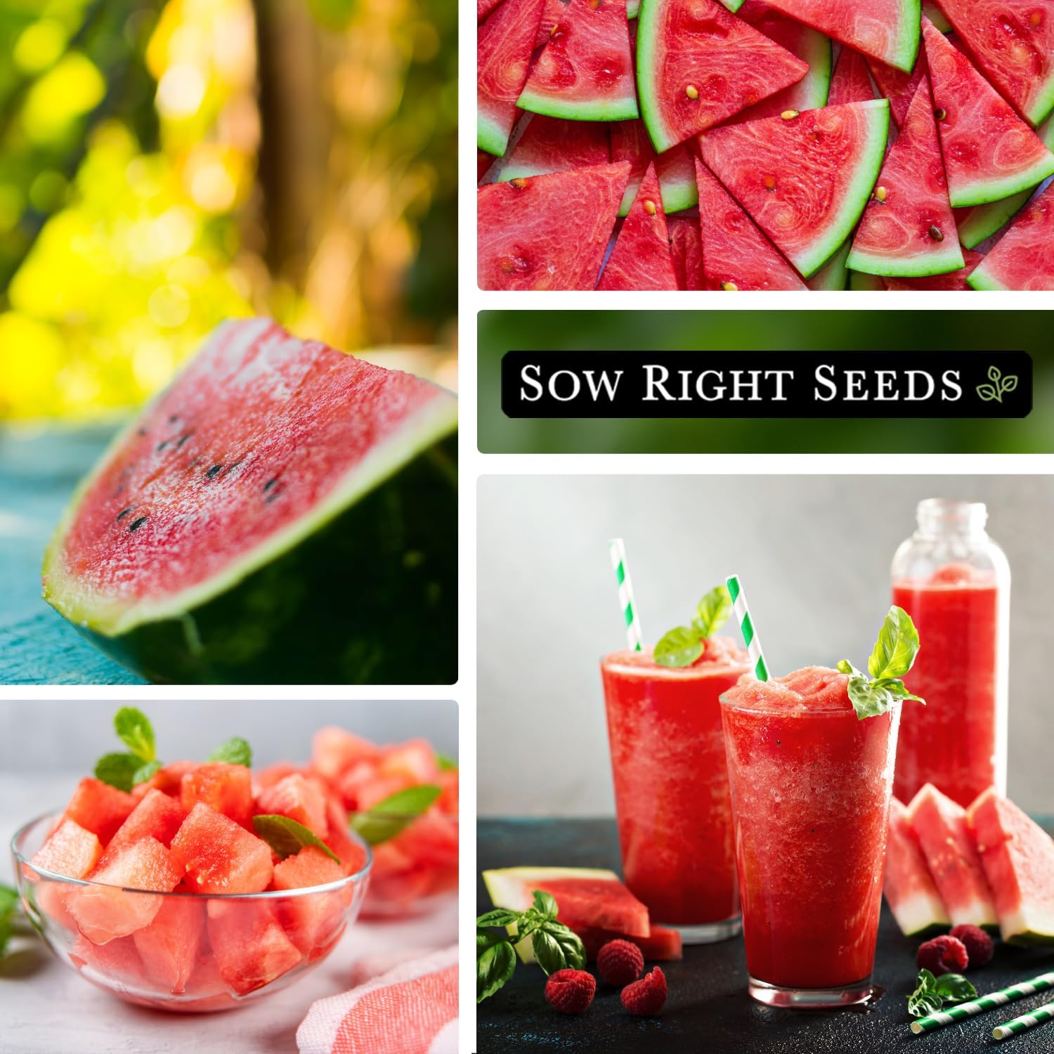 Sow Right Seeds – Semillas de sandía dulce carmesí para plantar – Paquete de reliquia sin OMG con instrucciones para plantar un huerto casero –