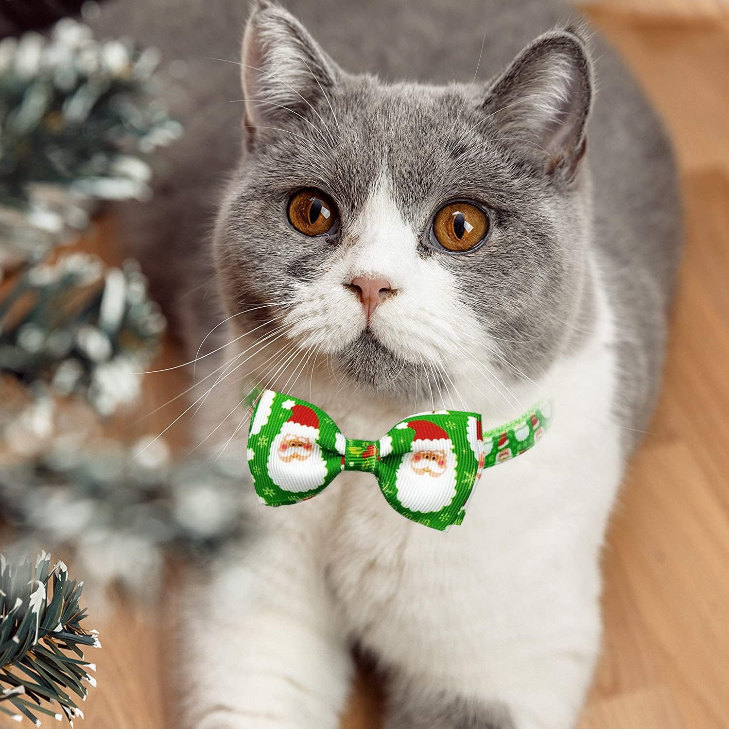 Pohshido Collar de gato navideño con pajarita y campana, paquete de 2 gatitos de invierno para niño y niña