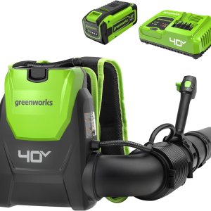 Greenworks 40 V (165 MPH 660 CFM 75+ herramientas compatibles) Mochila inalámbrica sin escobillas, soplador de hojas de mochila sin escobillas, Greenworks 40 V (165 MPH 660 CFM 75+ herramientas compatibles) Mochila inalámbrica sin escobillas, soplador de hojas de mochila sin escobillas,
