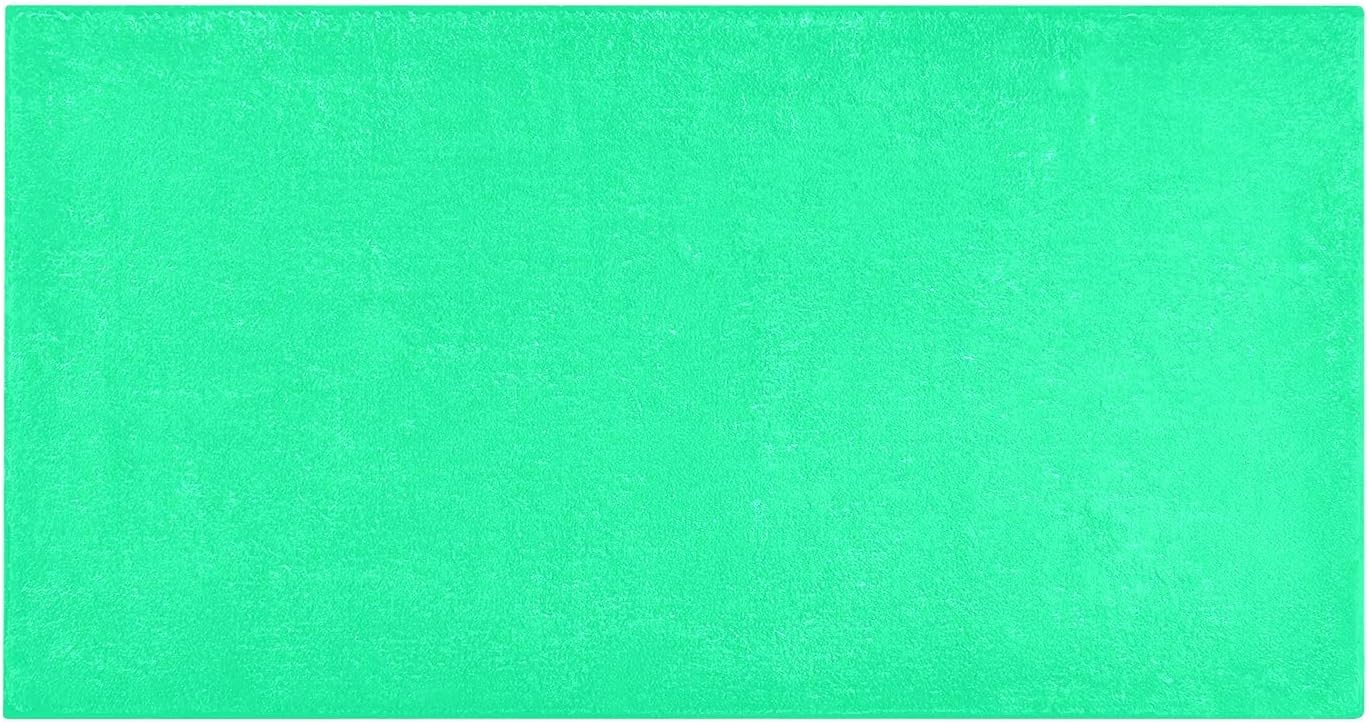 Alfombra de baño absorbente de color verde primavera, cómoda, antideslizante, duradera, suave, 39 x 20 pulgadas
