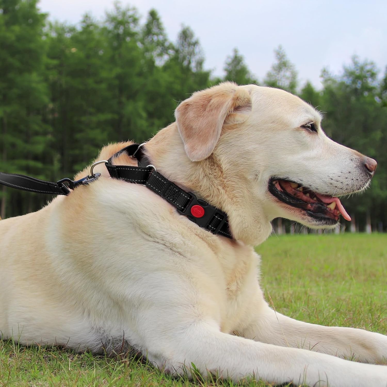 Joytale Collar Martingale para perros, collar reflectante resistente para seguridad, hebilla de liberación rápida, collares de nailon ajustables