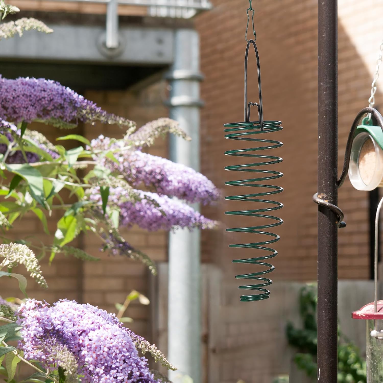 Comedero para mazorcas de maíz con cadena de extensión de 35 pulgadas para ardillas y otros suministros de alimentación en el patio trasero (3