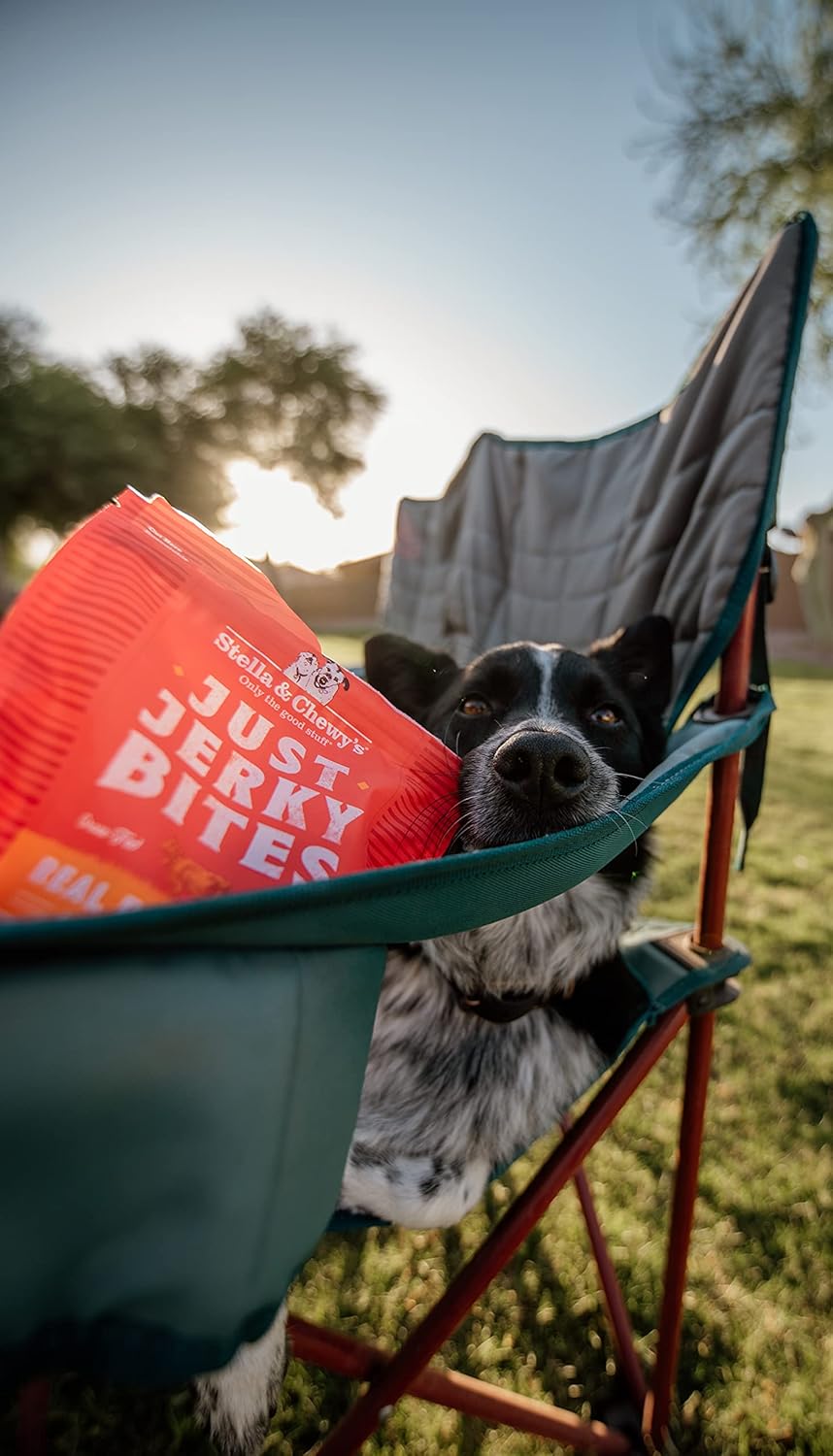 Stella & Chewy’s Just Jerky Bites – Receta de carne de res real para perros, bolsa de 6 onzas