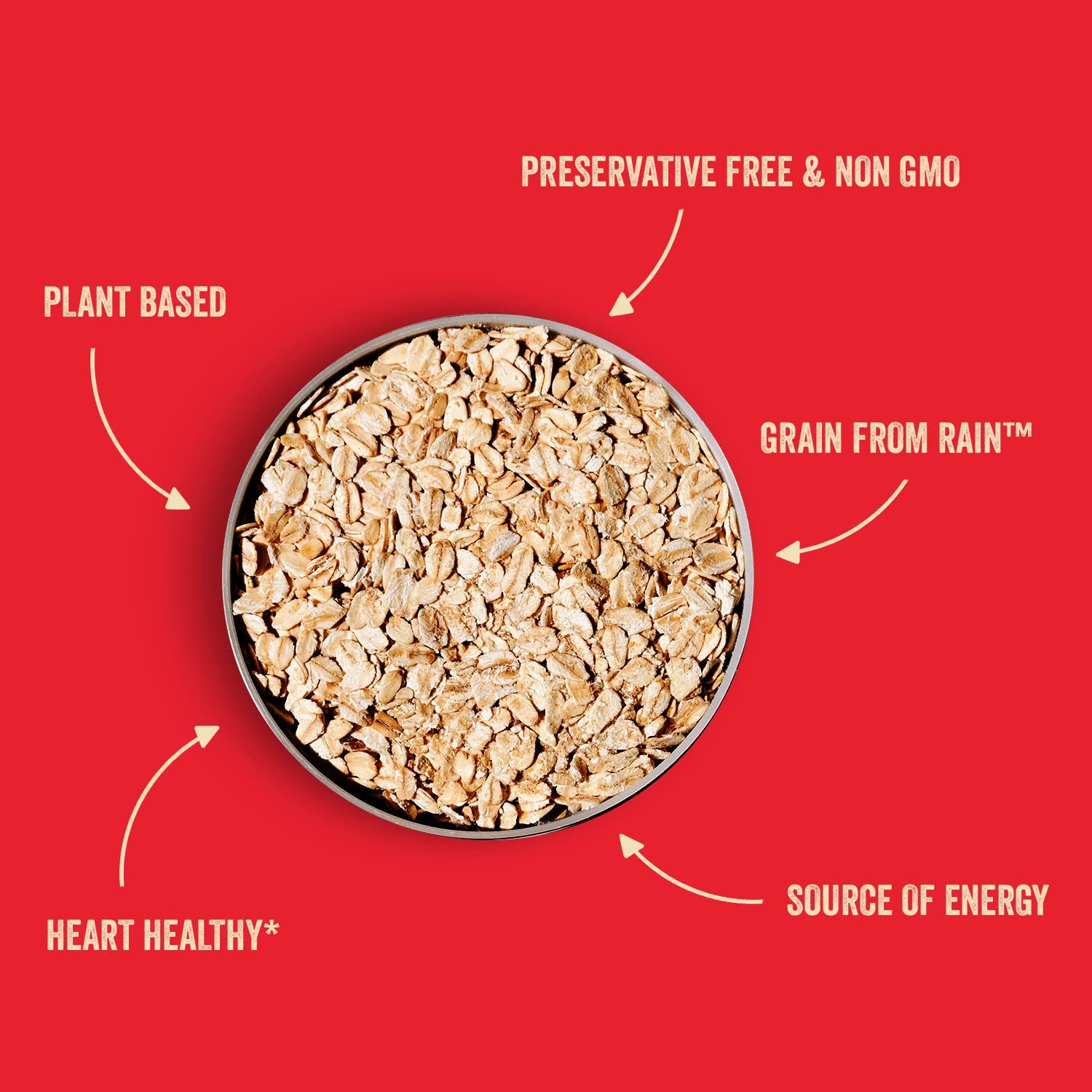 Stoked Oats – Stone Age – Desayuno alto en proteínas, bajo en azúcar – Sin gluten, alta fibra, avena sin OMG – Perfecto para avena durante la noche