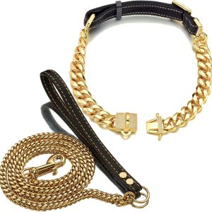 Juego de collar de perro y correa para perro de 0.748 in, oro de 18 quilates, acero inoxidable resistente, collar de entrenamiento de lujo, Juego de collar de perro y correa para perro de 0.748 in, oro de 18 quilates, acero inoxidable resistente, collar de entrenamiento de lujo,