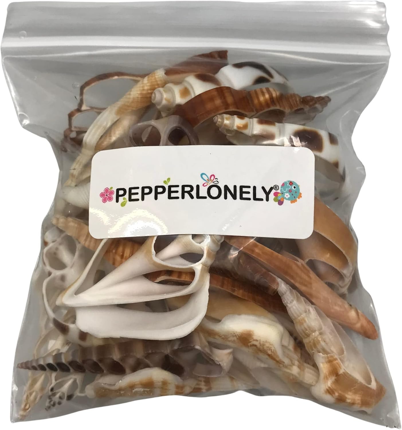 PEPPERLONELY 30 unidades de conchas marinas mixtas de corte central de grado B, 1-14 pulgadas  3 pulgadas