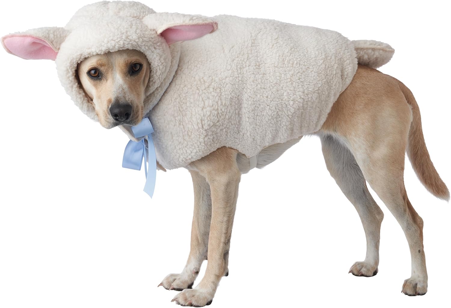 California Costumes, Perro oveja, Talla S