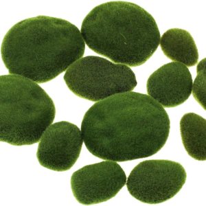 LJY 12 piedras artificiales de musgo artificiales de varios tamaños para arreglos florales, jardines de hadas, terrarios y manualidades LJY 12 piedras artificiales de musgo artificiales de varios tamaños para arreglos florales, jardines de hadas, terrarios y manualidades