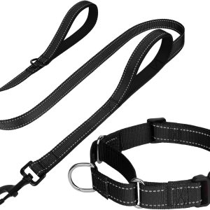 FunTags Collar Martingala reflectante para perros, hebilla de liberación rápida, correa acolchada de doble asa de 5 pies, juego de collar y correa FunTags Collar Martingala reflectante para perros, hebilla de liberación rápida, correa acolchada de doble asa de 5 pies, juego de collar y correa