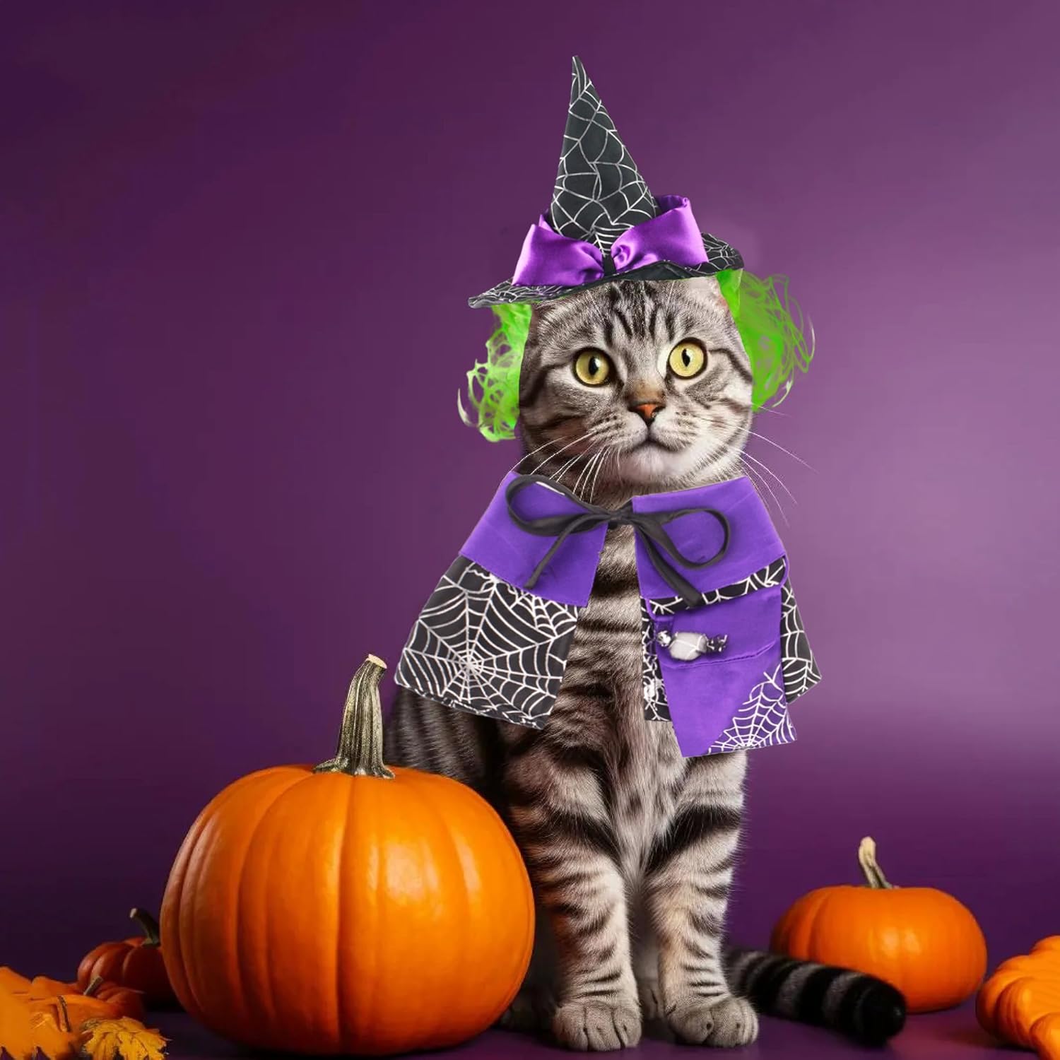 ADOGGYGO Disfraz de Halloween de gato, disfraz de bruja de gato morado, capa de gato, disfraz de sombrero de bruja para gatos y gatitos (bruja-2)