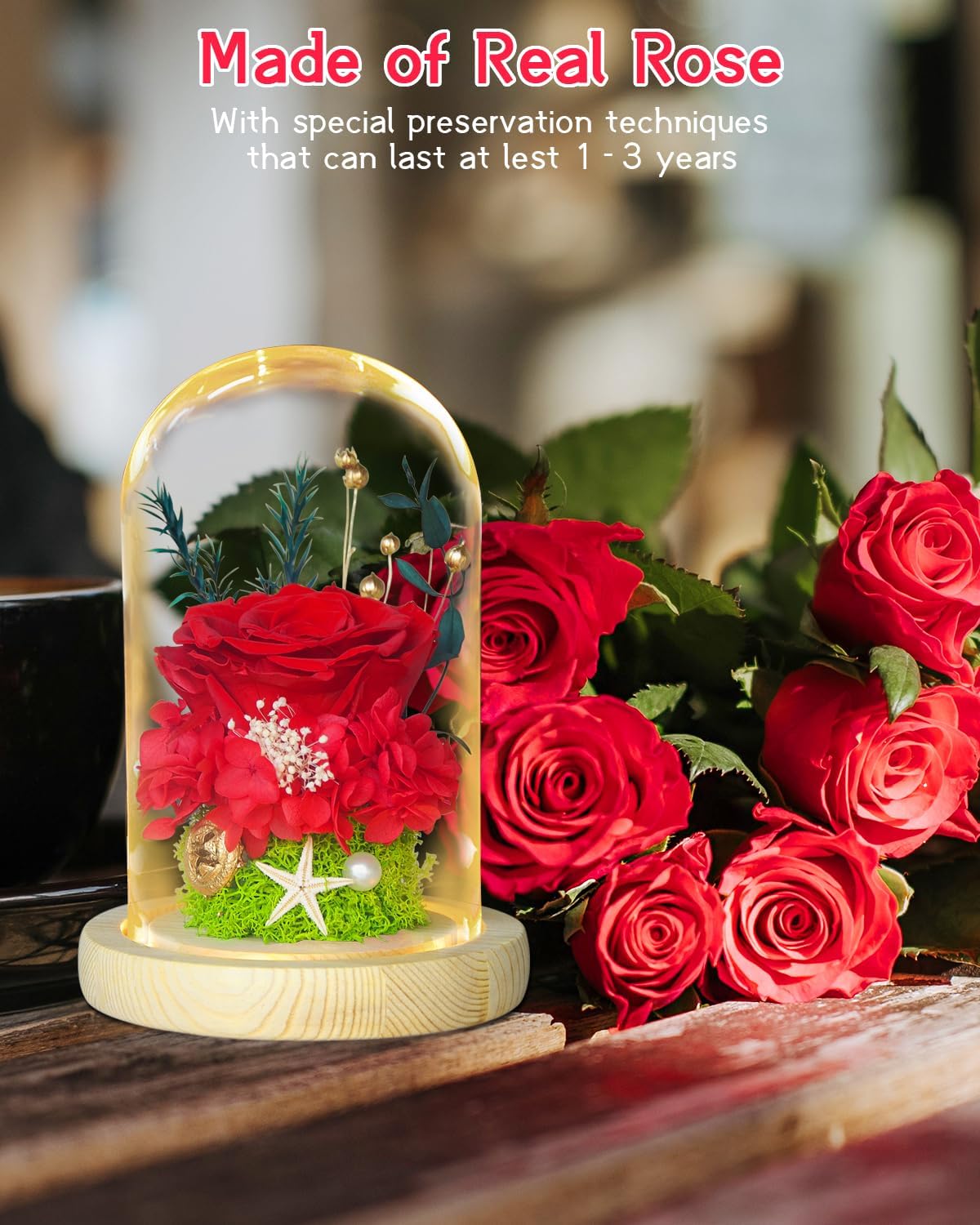 Flores de rosas preservadas, regalos de rosas de la Bella y la Bestia para mujeres, regalos de rosas eternas para ella, regalo de rosa de cristal