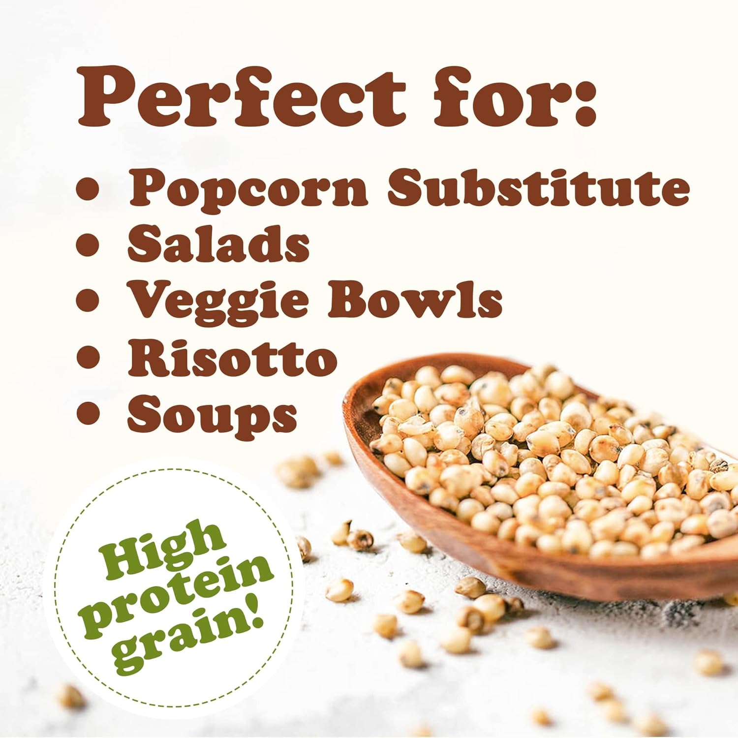 Food to Live Sorgo de grano entero, 6 libras, granos blancos de primera calidad. Semillas milo crudas. Vegano, escoba de maíz a granel. Durra es