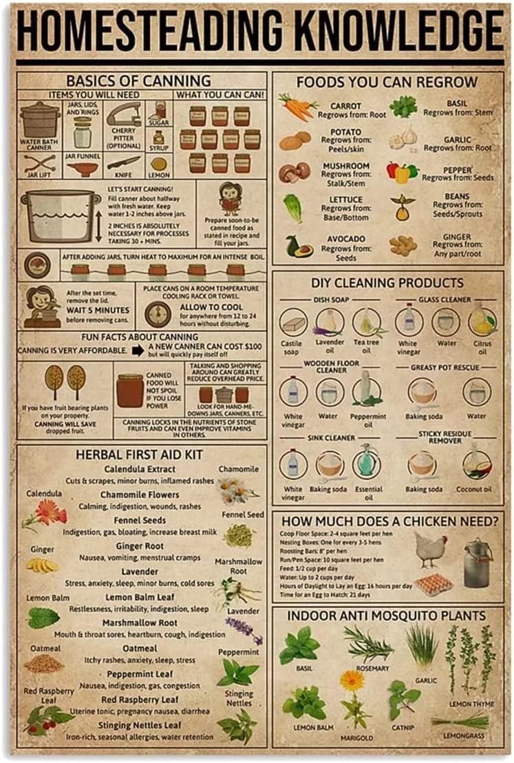 Youpinnong Arte de pared Homesteading Knowledge – Pósteres sin marco, infografías, conceptos básicos de enlatado, pintura en lienzo vintage para el