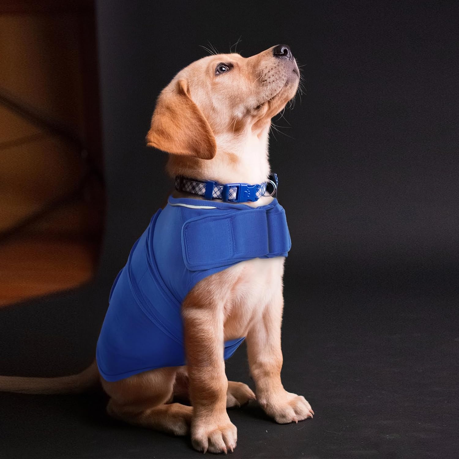 ROZKITCH Chaleco de ansiedad para perro, chaqueta cómoda para ansiedad para perros con fuegos artificiales, viajes, visitas al veterinario, camisa