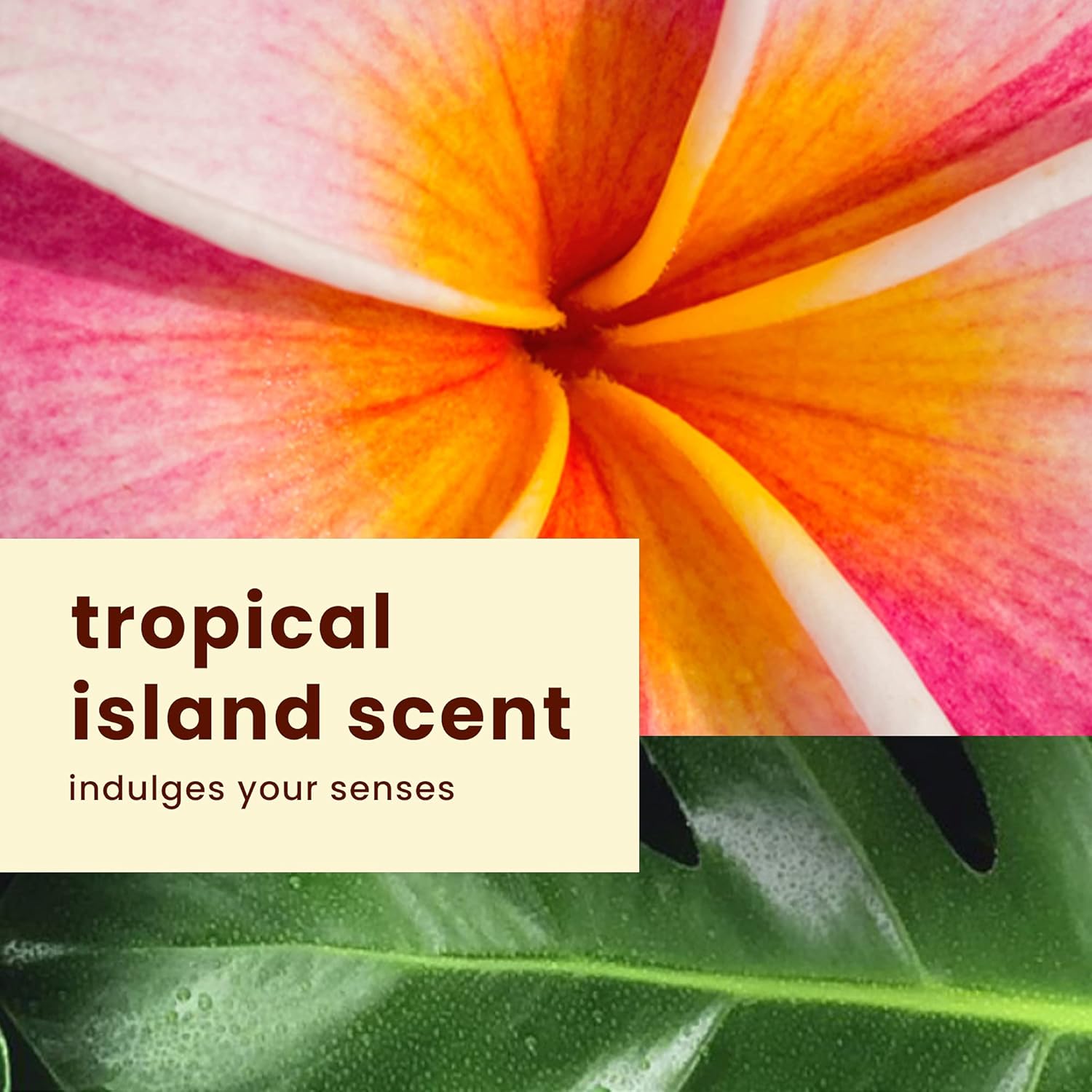 Hawaiian Tropic, Protector solar de amplio espectro SPF 30, paquete de protector solar sin peso de hidratación de seda con loción de protección