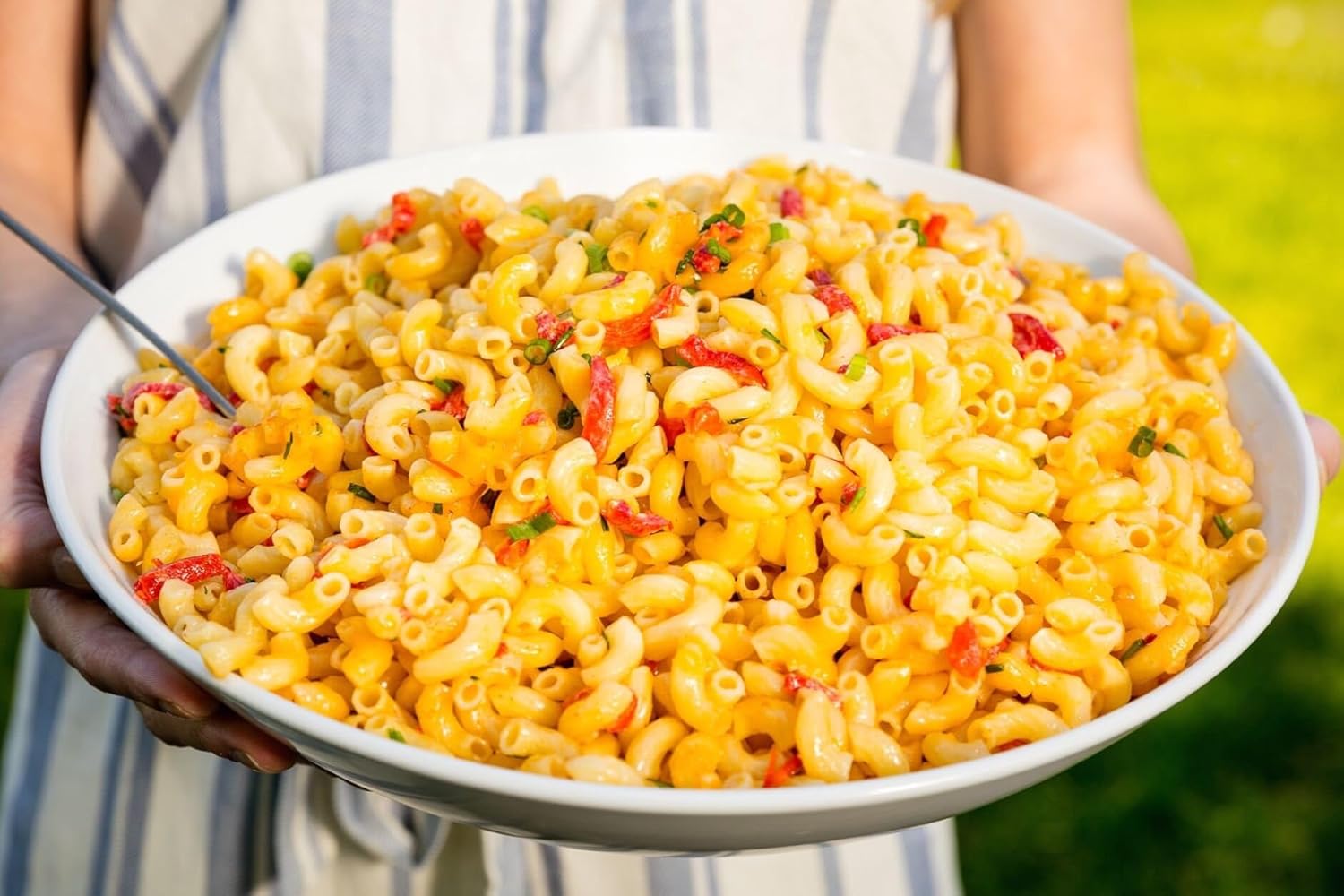 TomorrowSeeds – Semillas de pimiento de pimiento – Paquete de más de 100 unidades – Para 2024 Pimiento 100 Scoville Pimiento Suave Pimiento Piquante