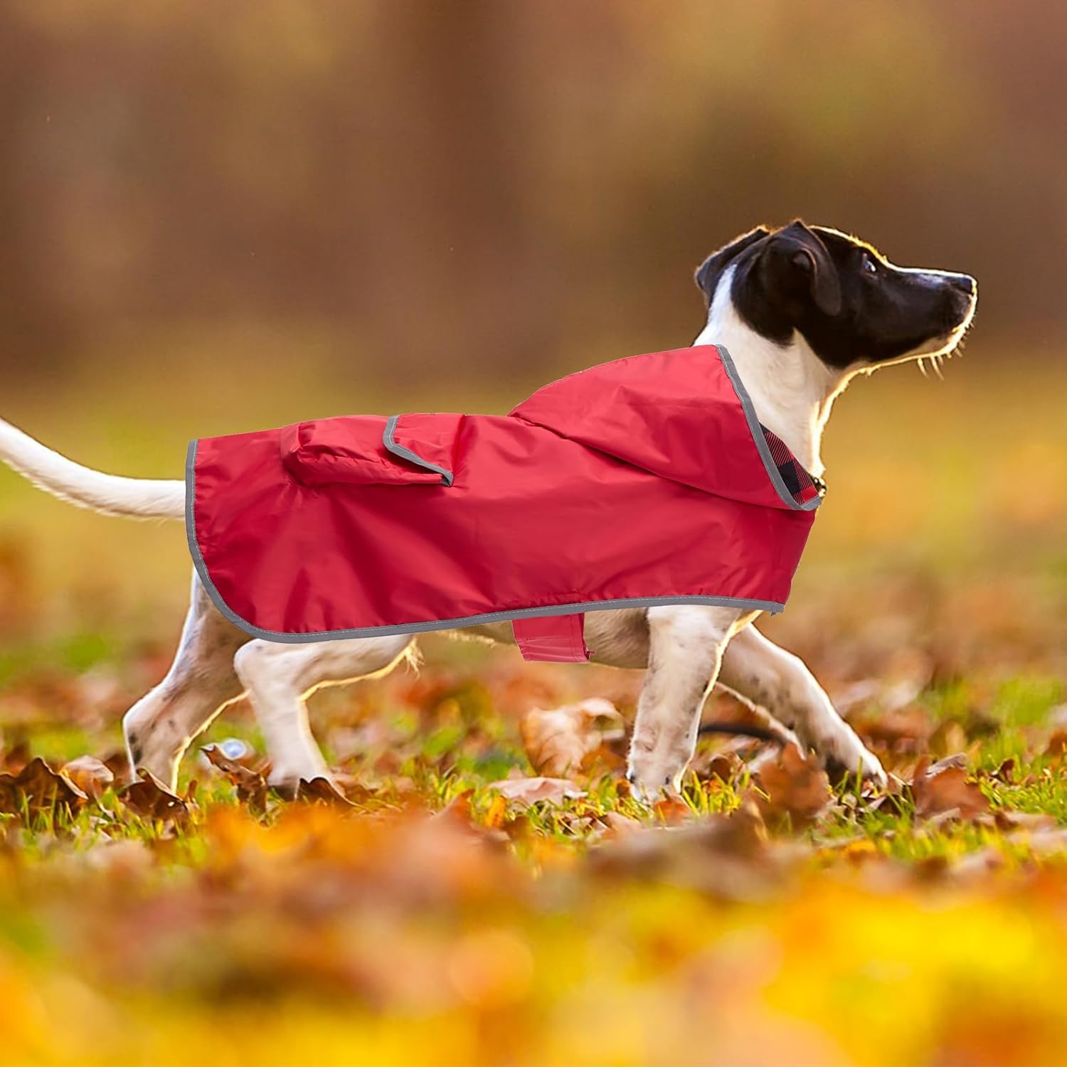 Chubasquero impermeable con capucha para perro, chaqueta impermeable ligera y plegable, impermeable reflectante para exteriores para cachorros de