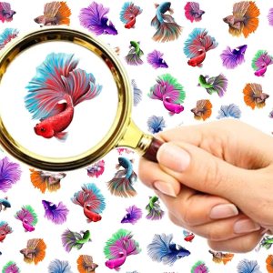 Pegatinas de uñas (5 hojas) FLONZNAIL – Pescado brillante con diseño de peces y acuarela, decoración de uñas vintage Pegatinas de uñas (5 hojas) FLONZNAIL – Pescado brillante con diseño de peces y acuarela, decoración de uñas vintage